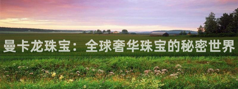 新宝5电脑登录网址：曼卡龙珠宝：全球奢华珠宝的秘密世界