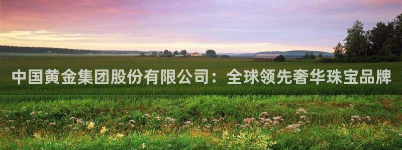 新宝5公司：中国黄金集团股份有限公司：全球领先奢华珠宝品牌