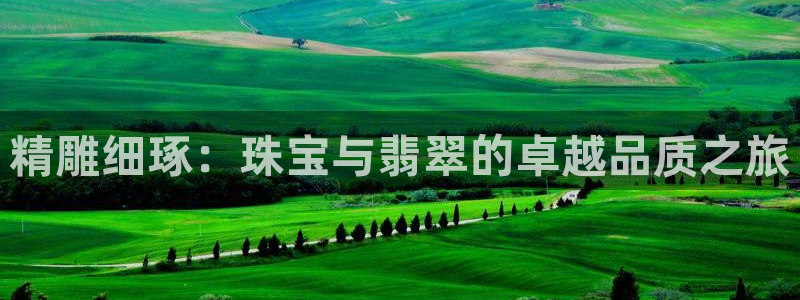 新宝5娱乐招商：精雕细琢：珠宝与翡翠的卓越品质之旅