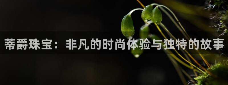 新宝5如何下载：蒂爵珠宝：非凡的时尚体验与独特的故事