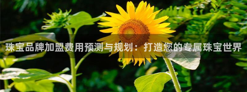新宝5注册平台：珠宝品牌加盟费用预测与规划：打造您的专属珠宝世界