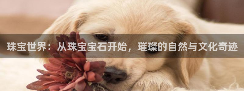 新宝5下载测试：珠宝世界：从珠宝宝石开始，璀璨的自然与文化奇迹