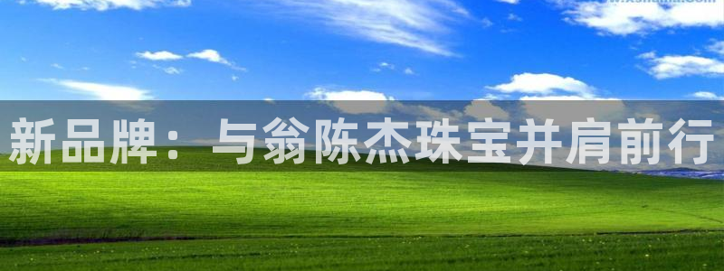 新宝5彩票平台登陆：新品牌：与翁陈杰珠宝并肩前行