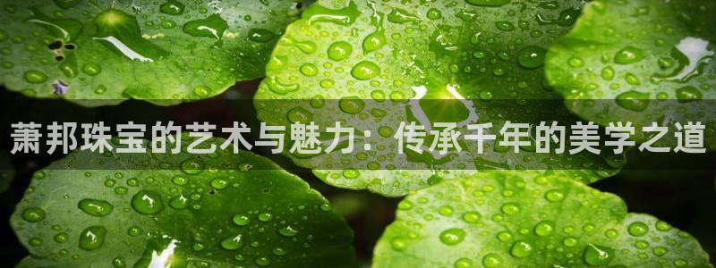 新宝5周74OOO5：萧邦珠宝的艺术与魅力：传承千年的美学之道