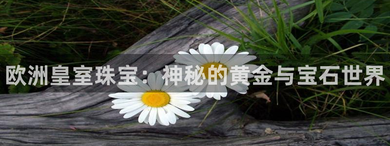 新宝gg5：欧洲皇室珠宝：神秘的黄金与宝石世界
