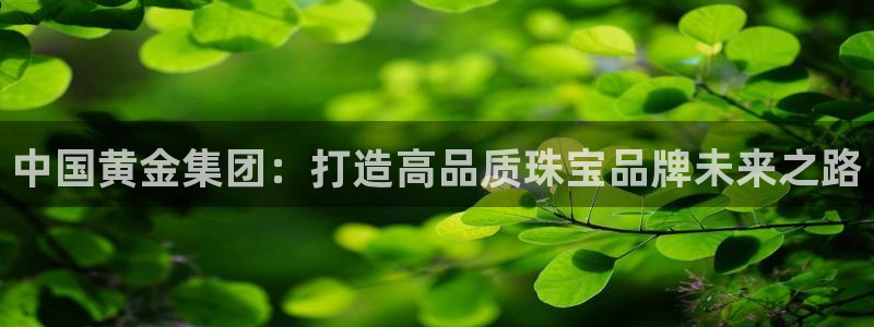 新宝那2O5O5O：中国黄金集团：打造高品质珠宝品牌未来之路