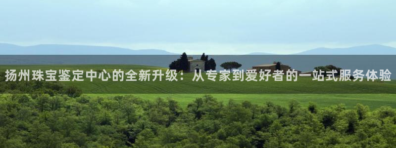 新宝5娱乐方：扬州珠宝鉴定中心的全新升级：从专家到爱好者的一站式服务体验