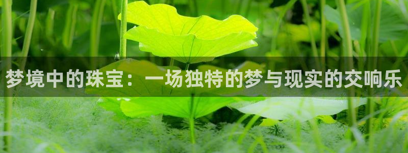 新宝5新宝6顺达：梦境中的珠宝：一场独特的梦与现实的交响乐