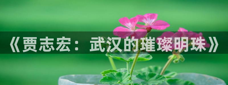 新宝5怎么代理：《贾志宏：武汉的璀璨明珠》