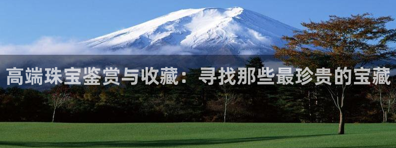 新宝5测：高端珠宝鉴赏与收藏：寻找那些最珍贵的宝藏
