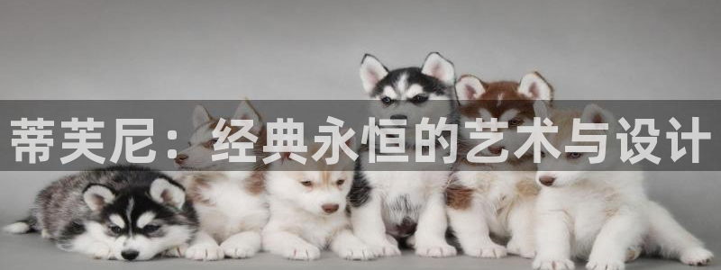 新宝5找找74OOO5：蒂芙尼：经典永恒的艺术与设计