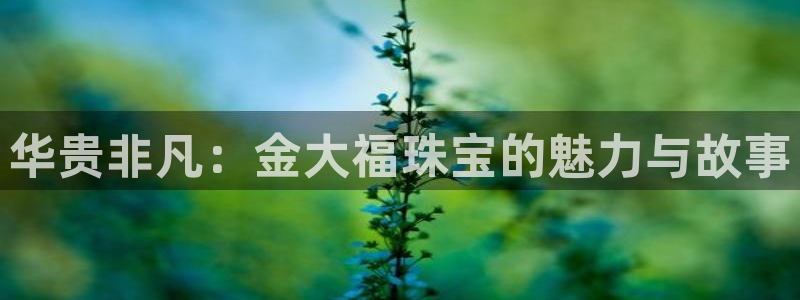 新宝cR一5：华贵非凡：金大福珠宝的魅力与故事