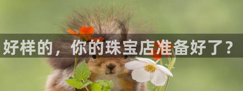 新宝5下载测试：好样的，你的珠宝店准备好了？