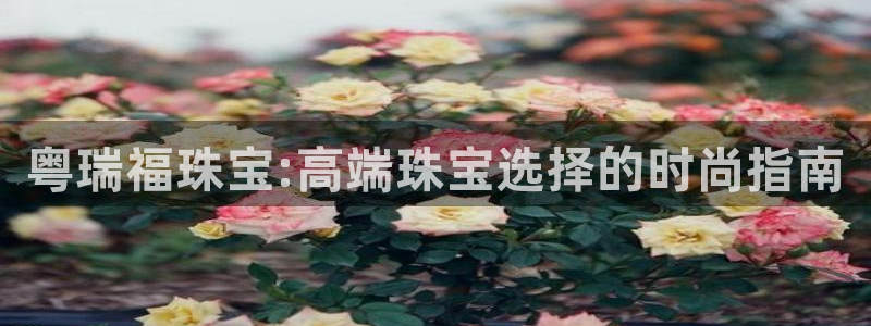 新宝5注册平台：粤瑞福珠宝:高端珠宝选择的时尚指南