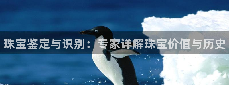 新宝堂新会陈皮5年：珠宝鉴定与识别：专家详解珠宝价值与历史