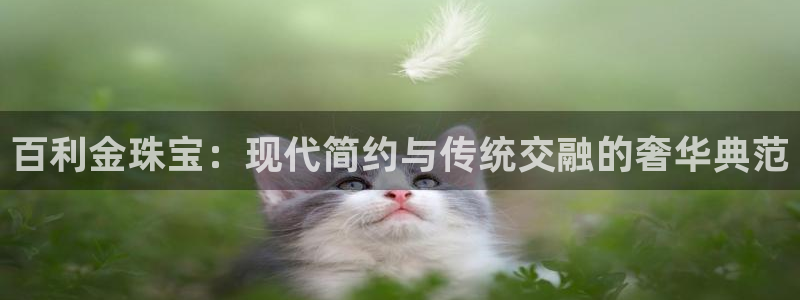 新宝5娱乐学：百利金珠宝：现代简约与传统交融的奢华典范