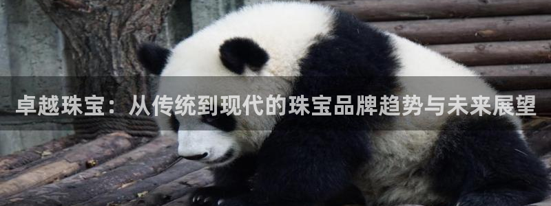 2022新宝骏rs 5：卓越珠宝：从传统到现代的珠宝品牌趋势与未来展望