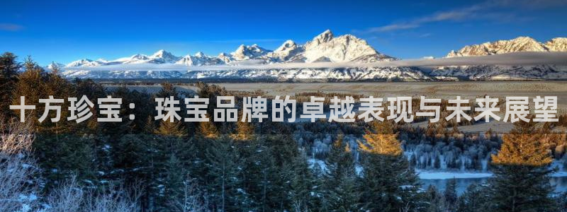新宝5-：十方珍宝：珠宝品牌的卓越表现与未来展望