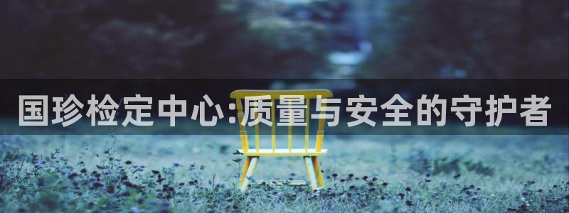 新宝5日：国珍检定中心:质量与安全的守护者