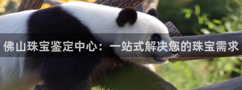 新宝5官方下载地址：佛山珠宝鉴定中心：一站式解决您的珠宝需求