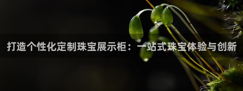 新宝5王问74OOO5：打造个性化定制珠宝展示柜：一站式珠宝体验与创新