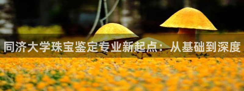 新宝5下载测试：同济大学珠宝鉴定专业新起点：从基础到深度