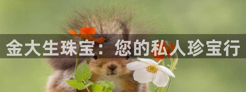 新宝5手机版：金大生珠宝：您的私人珍宝行