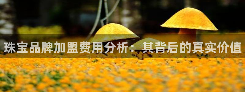 新宝5黑：珠宝品牌加盟费用分析：其背后的真实价值