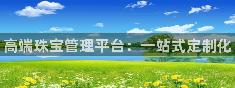 新宝rm5：高端珠宝管理平台：一站式定制化