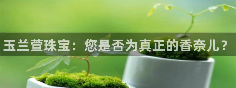 新宝5什么时候上市：玉兰萱珠宝：您是否为真正的香奈儿？