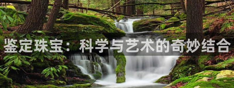 新宝5手机平台登陆：鉴定珠宝：科学与艺术的奇妙结合