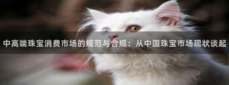 新宝5王问74OOO5：中高端珠宝消费市场的规范与合规：从中国珠宝市场现状谈起