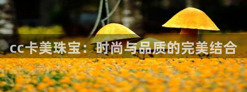 新宝5彩票平台登陆：cc卡美珠宝：时尚与品质的完美结合