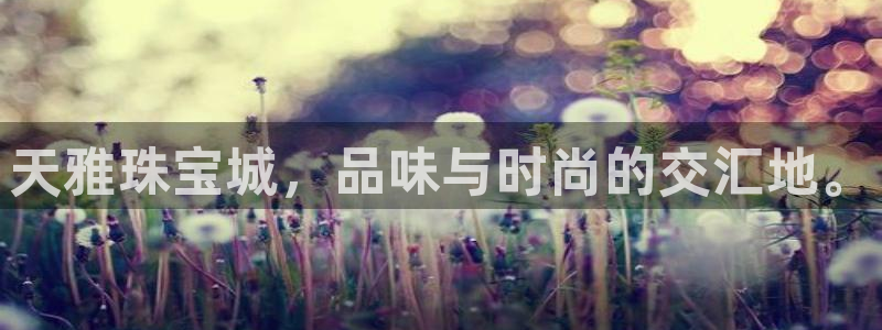 新宝5怎么代理