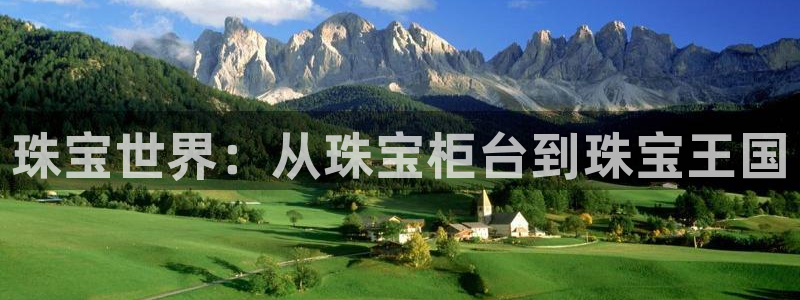 新宝5X：珠宝世界：从珠宝柜台到珠宝王国