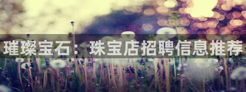 新宝xb5：璀璨宝石：珠宝店招聘信息推荐