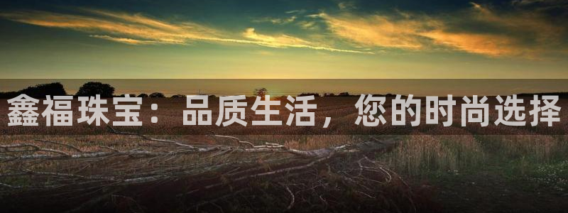 新宝5飞355051：鑫福珠宝：品质生活，您的时尚选择