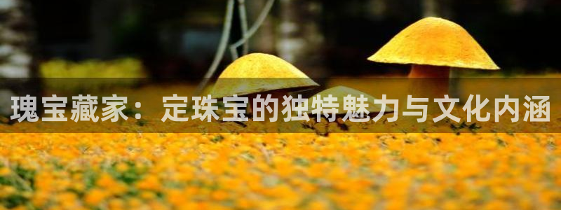 新宝5官网app：瑰宝藏家：定珠宝的独特魅力与文化内涵