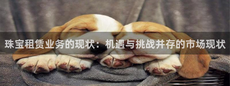 新宝5下载官方：珠宝租赁业务的现状：机遇与挑战并存的市场现状