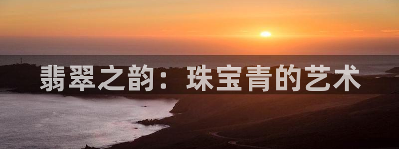 新宝股东王听2 5 5