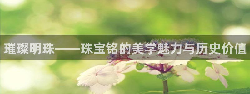 新宝5球维33 300：璀璨明珠——珠宝铭的美学魅力与历史价值