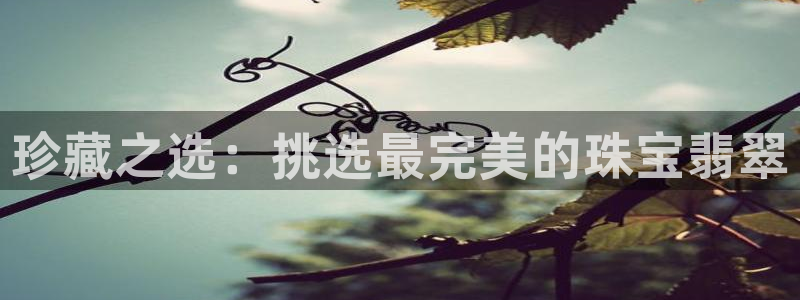 新宝5官网67五壹叁八：珍藏之选：挑选最完美的珠宝翡翠