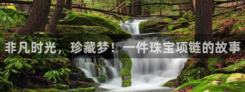 新宝5彩票平台登陆：非凡时光，珍藏梦！一件珠宝项链的故事