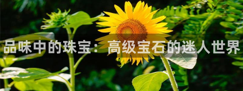 新宝5得74OOO5：品味中的珠宝：高级宝石的迷人世界