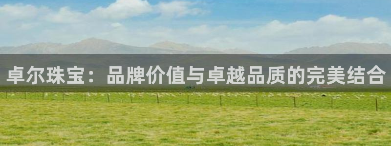 新宝5导师：卓尔珠宝：品牌价值与卓越品质的完美结合