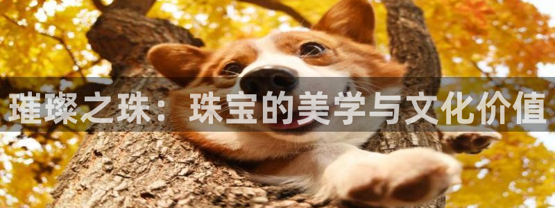 新宝5娱乐家：璀璨之珠：珠宝的美学与文化价值