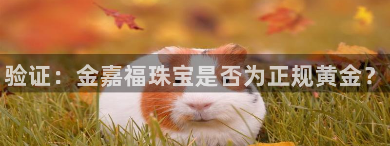 新宝5如何注册登录：验证：金嘉福珠宝是否为正规黄金？
