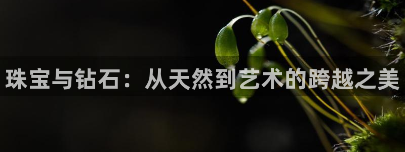 新宝5褚32OO59：珠宝与钻石：从天然到艺术的跨越之美