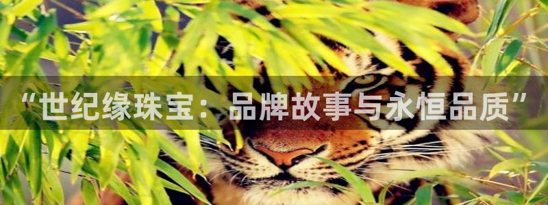 新宝5如何下载：“世纪缘珠宝：品牌故事与永恒品质”