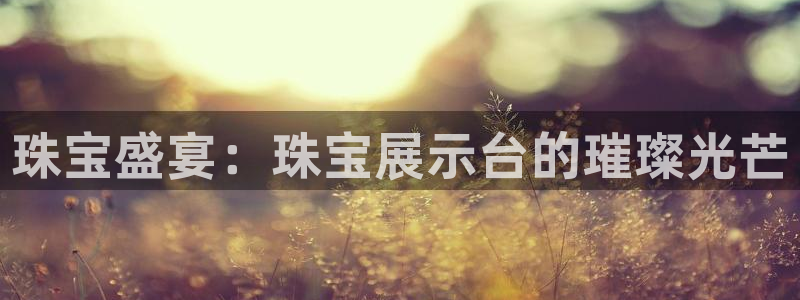 新宝5测速线路：珠宝盛宴：珠宝展示台的璀璨光芒